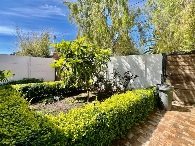Imagen 4 de 22 de En Venta Bella Casa Familiar, Con Arboles Frutales Y Piscina