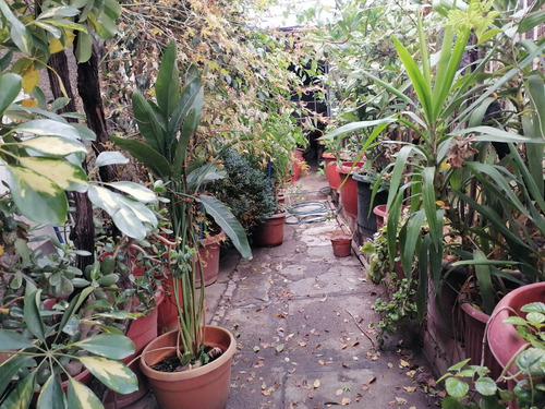 Casa Sin Deuda En Sector Consolidado De La Comuna.