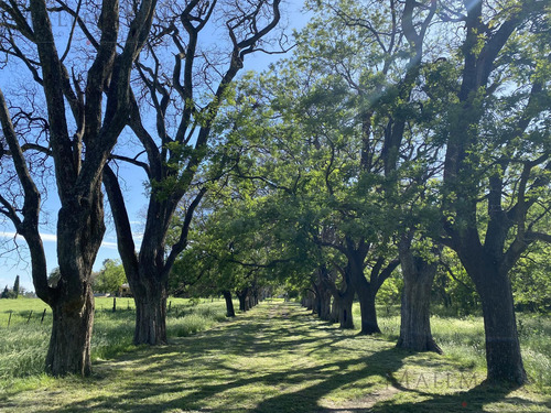 Venta Lote En Estancia Carabassa