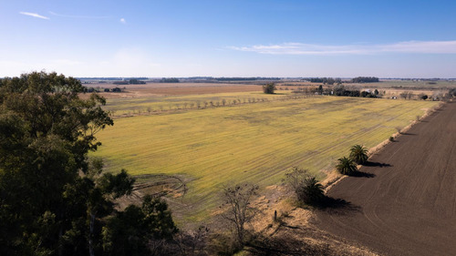 Campo En Venta 25ha En San Andres De Giles