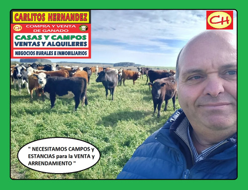 Campo San Jose Necesitamos Tambos Para Venta Y Arrendamiento Por Pedidos Concretos De Nuestros Clientes