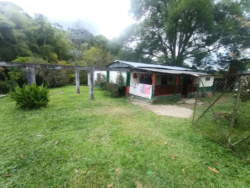 Se Vende Finca Palo Grande Salento  Quindío 