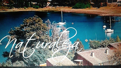 Imagen 5 de 5 de Alquilo Semana Dut Bariloche Para 6/8 Personas