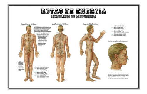 Poster Pontos E Meridianos Hd 65x100cm Decoração Acupuntura Fisioterapia - Mapa Plastificado