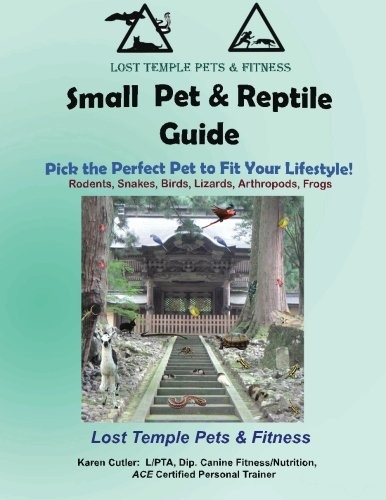 Small Pet  Y  Reptile Guide Lost Temple Pets Amphibian, Arth