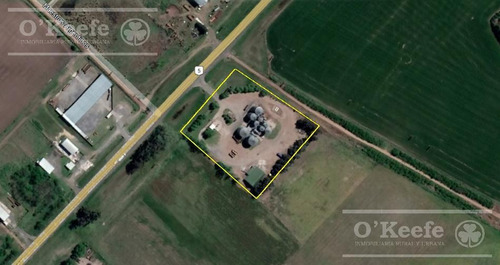 Imagen 3 de 13 de Planta De Acopio En Venta En Bragado - Sobre 2 Has - Sobre Ruta 5