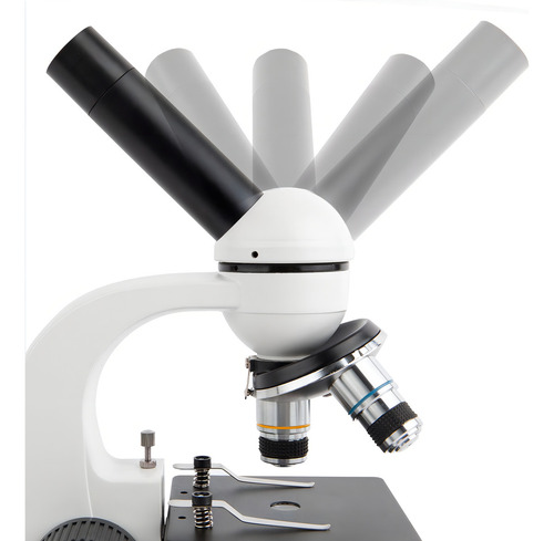 Microscopio Monocular 40x 1000x Incluye Cámara De 0.3 Mp Y Software Amscope M158c-e