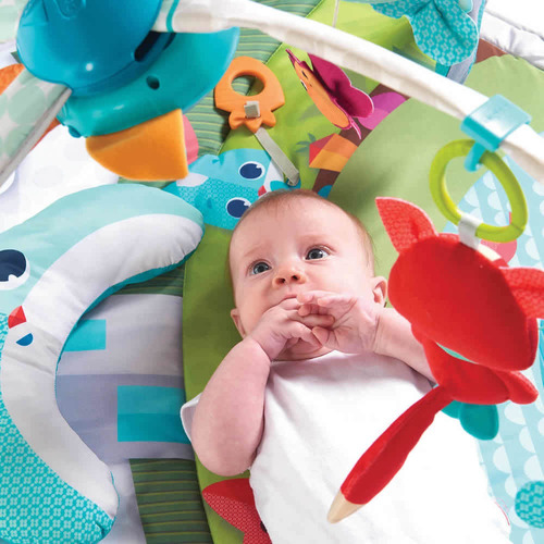 Tapete De Atividades Gymini Dynamic Meadow Days Tiny Love
