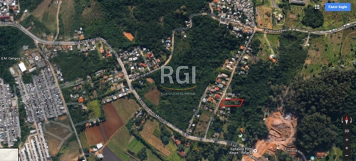 Terreno Em Vila Nova - El50873765