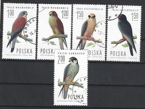 Filatelia - Polonia - Aves - Halcones