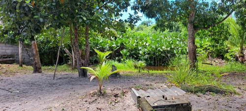 Vendo Uma Casa Contendo 02 Lotes Medindo 10x40 Cada