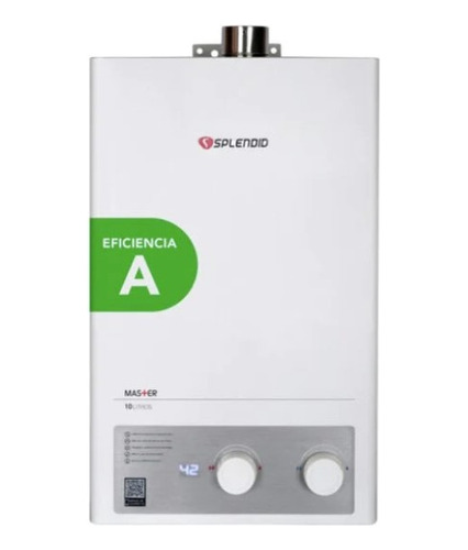 Calefont 10 Litros Tiro Forzado Gas Natural Master Splendid