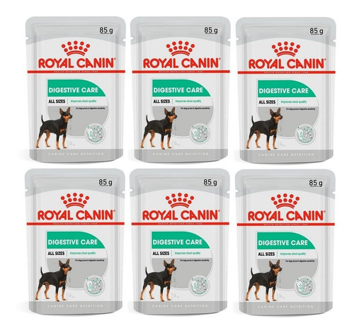 Kit 6 Unidades Sachê Digestive Care 85g Royal Canin