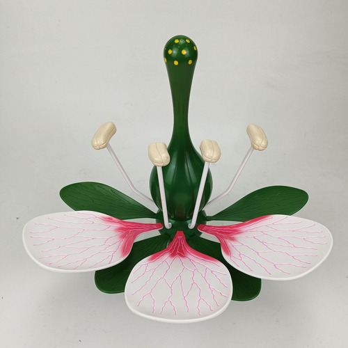 Modelo De Flor Dicotiledónea Modelo De Flor De Melocotón