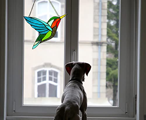 Colgantes Para Ventanas Con Forma De Colibrí, Pájaros Teñido