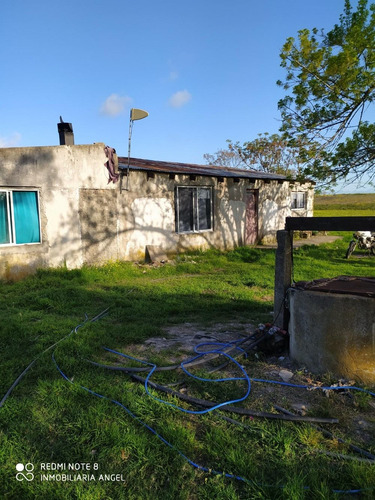 Imagen 2 de 13 de Vendo 6 Has Con Casa De 3 Dorm, Tajamar Buen Campo Árboles