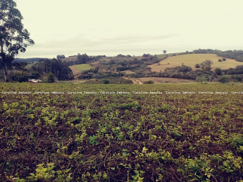Imagem 6 de 8 de Área Rural Para Venda Em Mariana Pimentel, Boqueirão - 1208_1-1516489