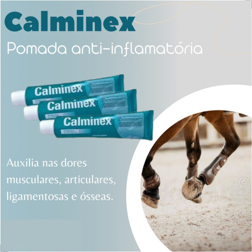Dor No Musculo Romboide Maior Calminex Pomada 30g Kit03