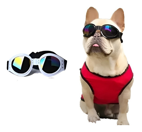 Gafas Para Perros Uv Gafas Para Perros Mascotas Perros 866