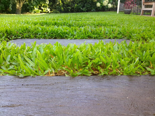 Caminero De Jardin  De Hormigon