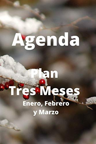 Agenda Plan Tres Meses: Enero Febrero Y Marzo