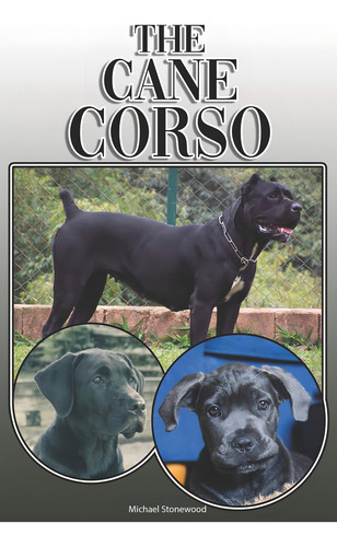Libro The Cane Corso-michael Stonewood-inglés, De Stonewood, Michael. Editorial Independently Published, Tapa Blanda En Inglés