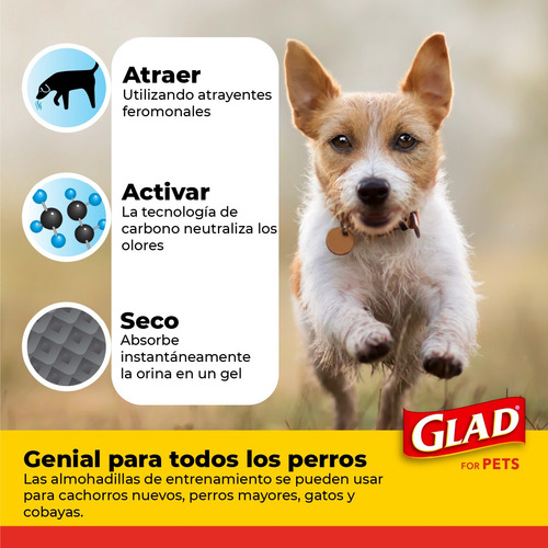 Tapete Entrenador Para Perro, 5 Capas Ultra Absorbentes 14pz