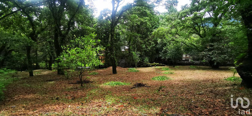 Venta Terreno 0 Ambiente Los Ocotes