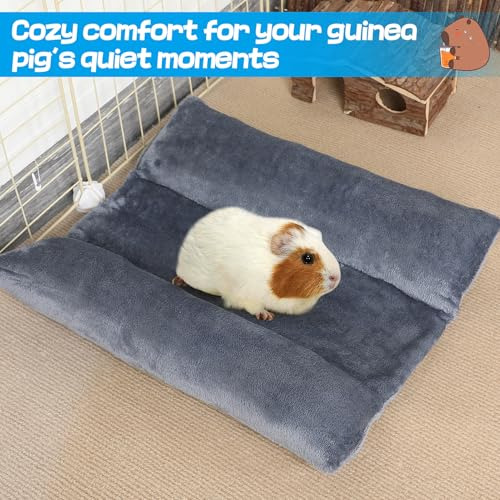 Cama Suave Cóncava Para Conejos, Tapete Gris Para Mascotas