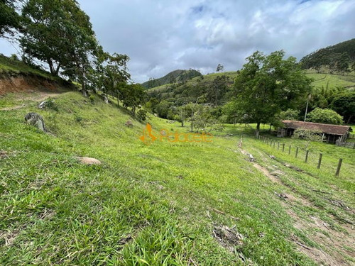 Imagem 10 de 16 de Rural Comercial - 366000-v