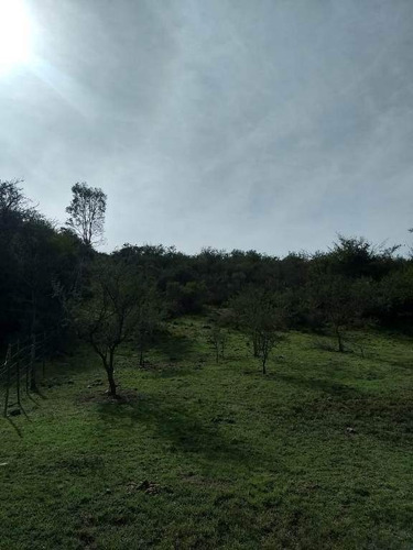 Imagen 3 de 29 de Venta Campo Falda Del Cañete-8,5 Has- Con Vista