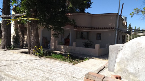 Venta Lote Campo Casa Mendoza General Alvear Bowe