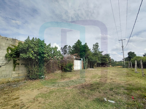 Terreno En Venta Atlatlahucan Morelos