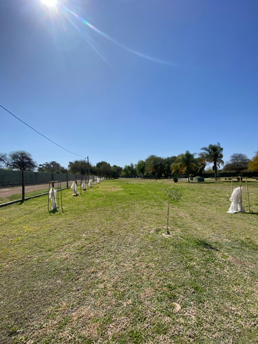 Barrio Privado Los Aromos , Conjunto Inmobiliario Completo