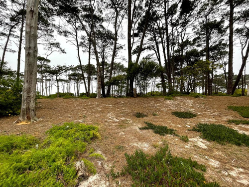 Gran Terreno Con Salida Al Mar El Pinar Terrenos Venta Ciudad De La Costa 