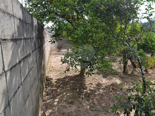 Imagem 3 de 15 de Terreno Residencial À Venda, Castelo, Amparo. - Reo328964