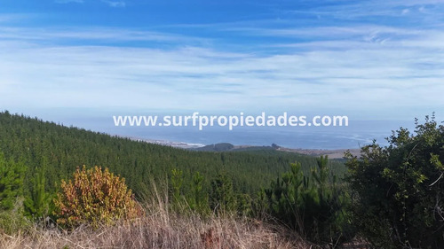 Bucalemu - Parcelas De 5000 Mt2 Con Vista Al Mar