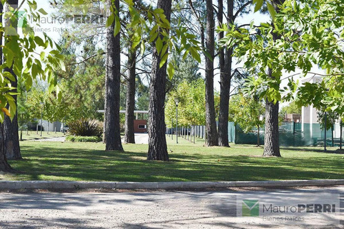Imagen 10 de 17 de Terreno - La Plata