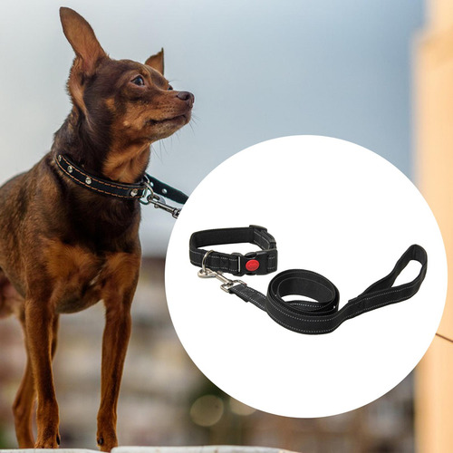 Cuerda De Tracción Ajustable Para Perros, Para Correr, M