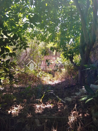Imagem 5 de 6 de Terreno - Petropolis - Ref: 165505 - V-165505