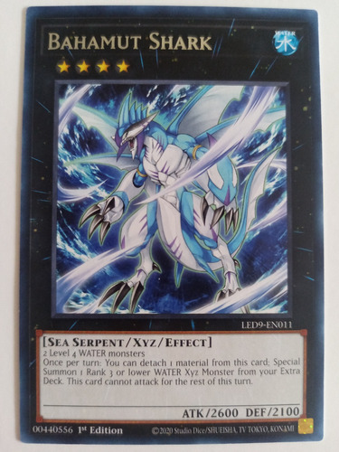 Bahamut Shark - Rare    Led9