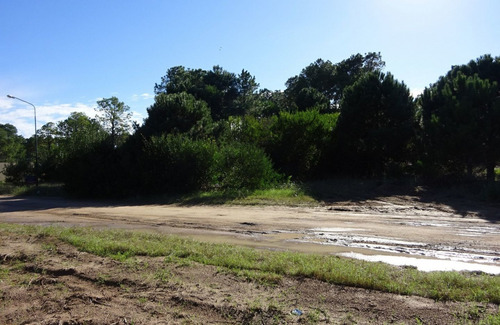 Imagen 2 de 4 de Venta De Lote - Pinamar, Zona Nayades / Ref: 1501