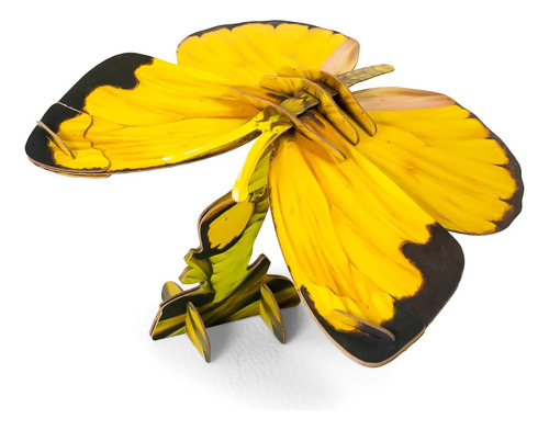 Makebug Fidget Toys Rompecabezas De Papel 3d Ecológicos Para