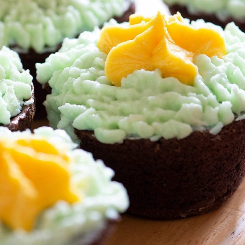 Pack De 2moldes For Mini Muffins De Tarta De Queso Con Fondo