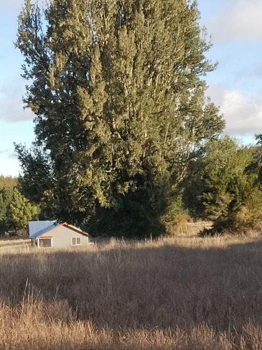 Parcela En Fresia, Llico, Sector Las Cuyas