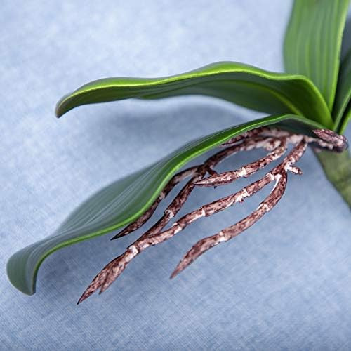 Hojas De Orquídea Fnize, 4 Pies Tallos De Phalaenopsis