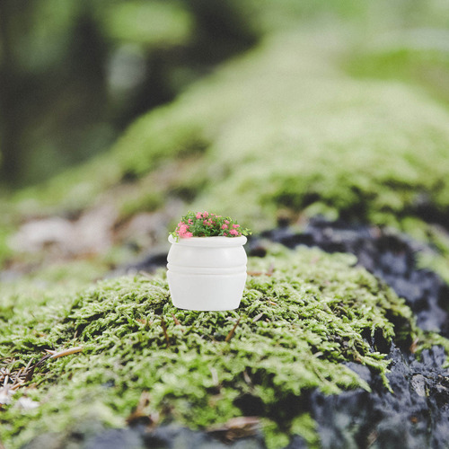 4 Peças De Plantas Em Vasos Em Miniatura Dollhouse Accessori