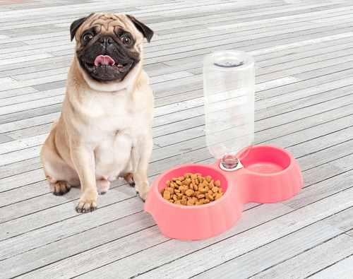 Plato Con Bebedero Para Gato O Perro Pequeño. Capacidad 1 L