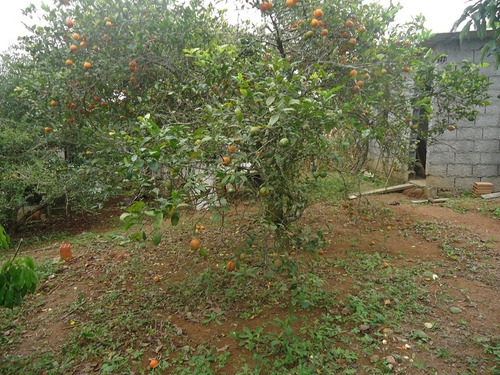 Imagem 11 de 13 de Boa Chácara Bairro Puris 1640,00m2