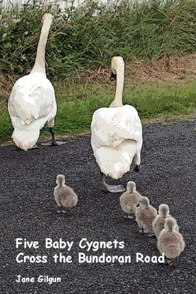 Libro Five Baby Cygnets Cross The Bundoran Road - Jane Gi...